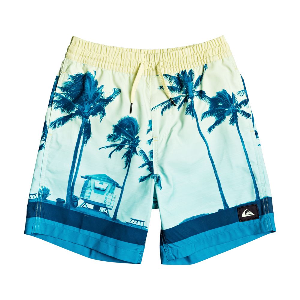 quiksilver shorts swim